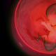 Illustration for article titled Another Study Suggests 'Fetal Pain' Laws Are Totally Bogus